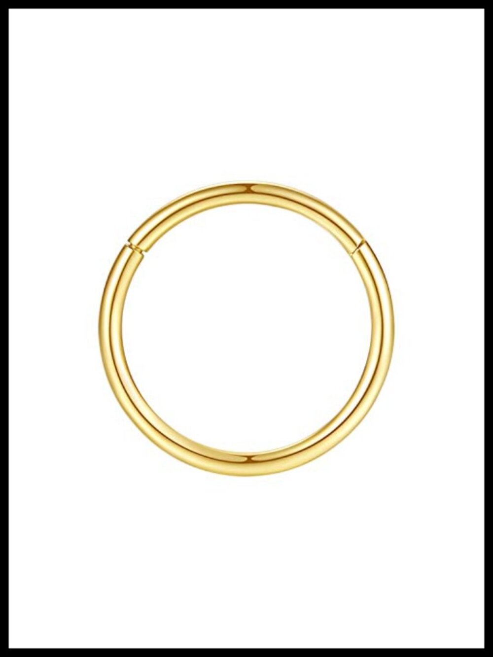 Hypoallergenic 316L Surgical Steel Hinged Segment Ring Nose Hoop Septum